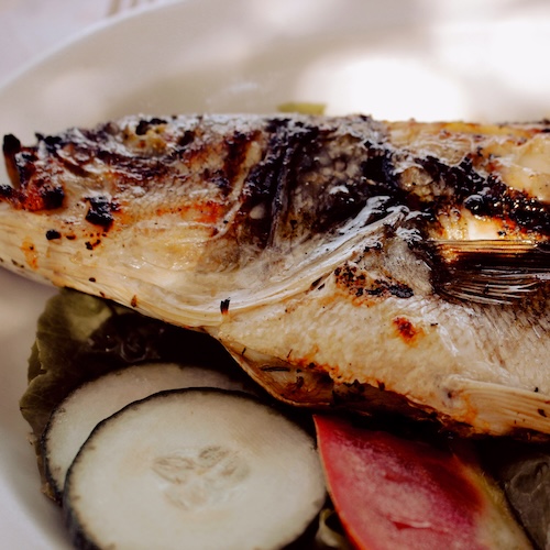 Herb-Grilled Sea Bass
