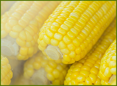 Corn
