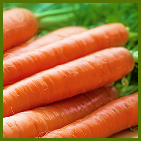 Carrots
